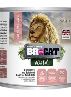 BR for Cat Wild Salmon