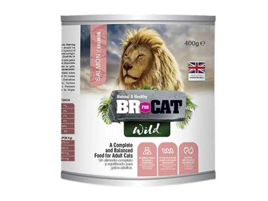 BR for Cat Wild Salmon