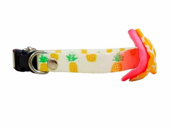 COLLAR PARA MASCOTAS