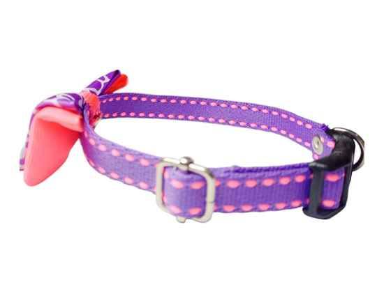 COLLAR paara mascotas