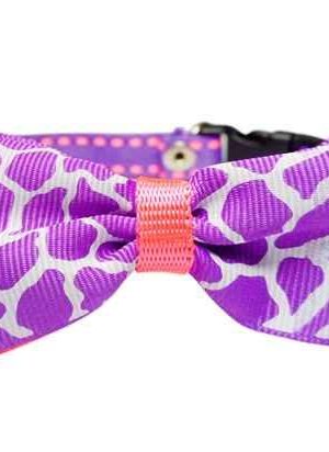 COLLAR paara mascotas