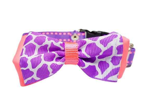 COLLAR paara mascotas