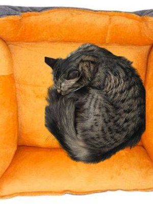 Cama Impermeable para mascotas (11) Cama Impermeable para mascotas