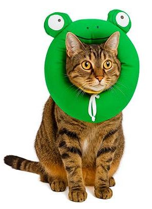 Collar Isabelino Collar Isabelino de Algodón