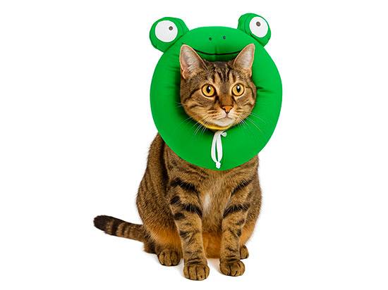 Collar Isabelino de Algodón