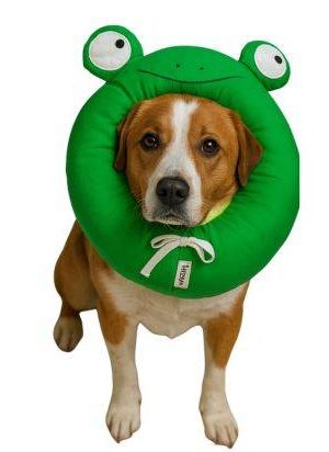 Collar Isabelino de Algodón (4) Collar Isabelino de Algodón