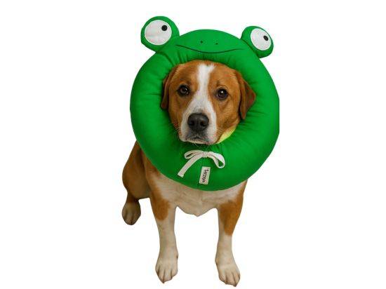 Collar Isabelino de Algodón