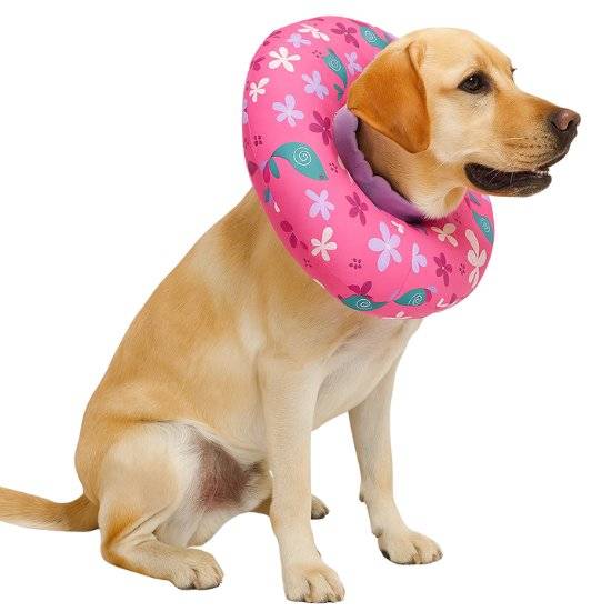 Collar Isabelino de Algodón