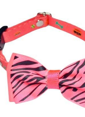 Collar ajustable para gatos