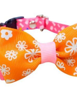 Collar para mascotas