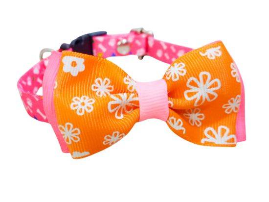 Collar para mascotas