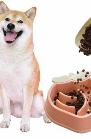 Comedero antivoracidad (6) Comedero antivoracidad