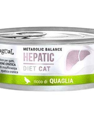 Disugual Equilibrio Metabólico GATO HEPÁTICO