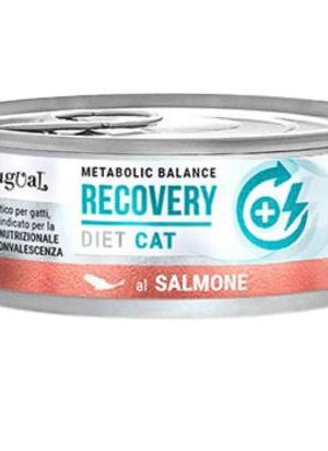 Disugual Metabolic Balance CAT RECOVERY