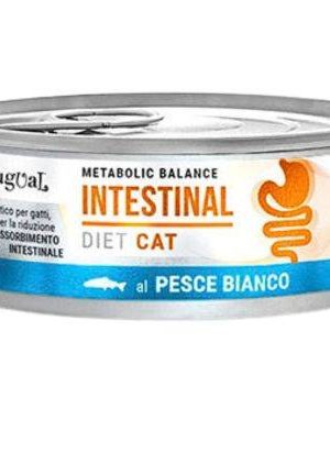 Equilibrio Metabólico CAT INTESTINAL Pescado