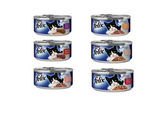 Felix Paté 6 LATAS