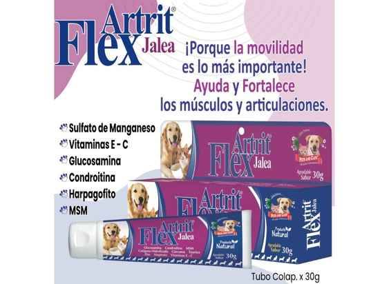 Artrit Flex Jalea Suplemento Mascotas 30 GR - Imagen 2