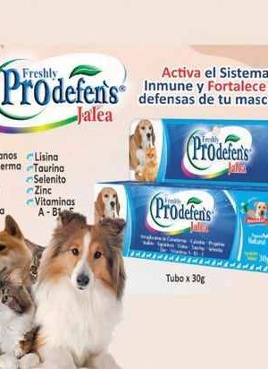 Freshly Prodefen’s Jalea Freshly Prodefen’s Jalea