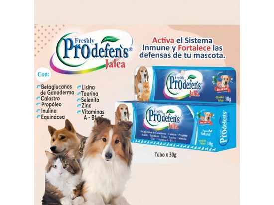 Freshly Prodefen’s Jalea