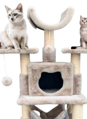 Gimnasio de lujo para gatos Gimnasio de lujo para gatos