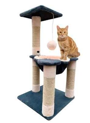 Gimnasio para Gatos (2) Gimnasio para Gatos