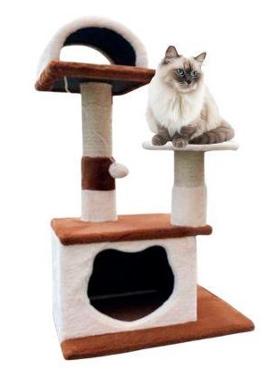 Gimnasio para gato Gimnasio para gato