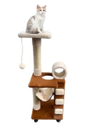 Gimnasio para gato Gimnasio para gato