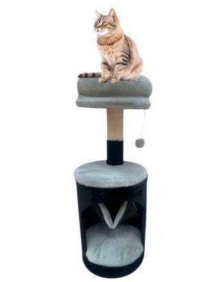 Gimnasio para gatos Gimnasio para gatos