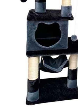 Gimnasio para gatos Gimnasio para gatos