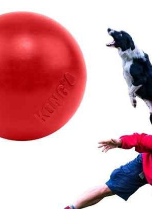 KONG Ball con Agujero KONG Ball con Agujero