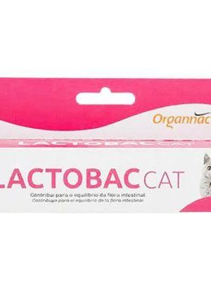 Lactobac Cat