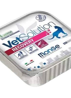 MONGE VETSOLUTION CAT-RECOVERY