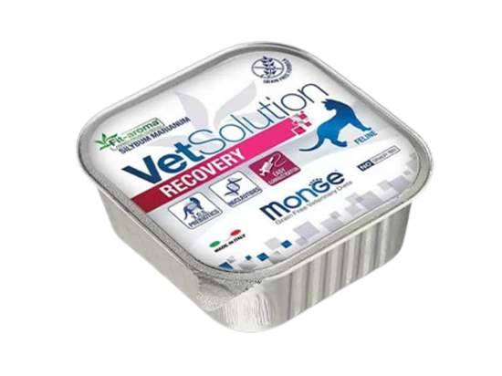 MONGE VETSOLUTION CAT-RECOVERY