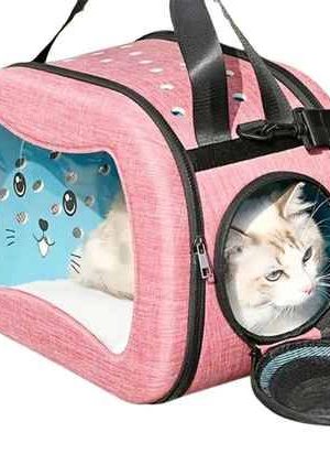 Maletín Transportador Maletín Transportador