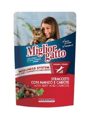 Miglior Gatto Straccetti