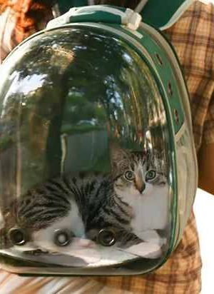 Mochila Transparente (2) Mochila Transparente