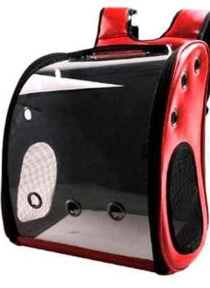 Mochila Transportadora Transparente con Ruedas (3)