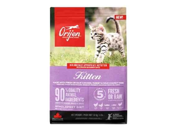 ORIJEN KITTEN