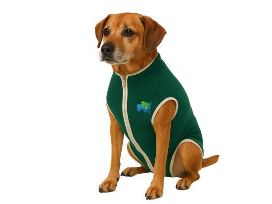 Prenda posquirúrgica para mascotas