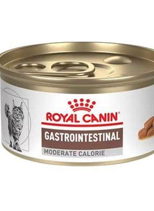 Royal Canin Gastrointestinal Calorías Moderadas