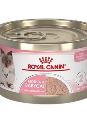 Royal Canin Mother & Babycat Etapa 2