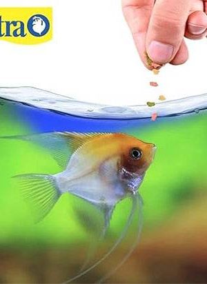 TetraColor (2) TetraColor