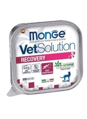 VetSolution Recovery