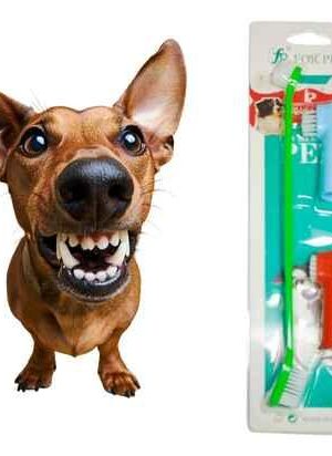cepillos dentales para perros y gatos cepillos dentales para perros y gatos