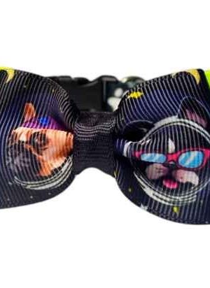 collar con moño para mascotas