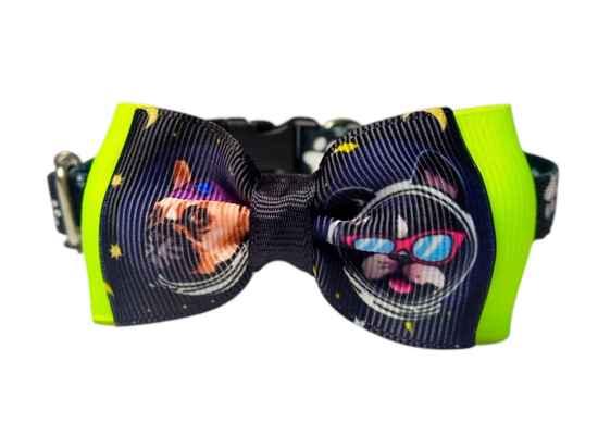 collar con moño para mascotas