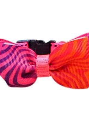 collar para mascotas