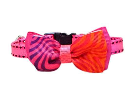 collar para mascotas