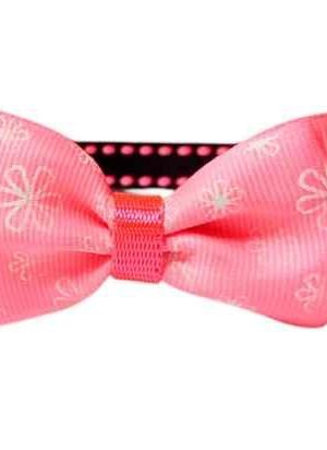 collar para mascotas