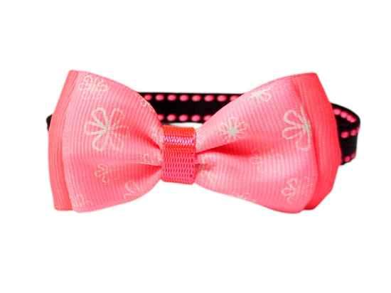 collar para mascotas